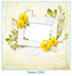 floare rama foto 1544