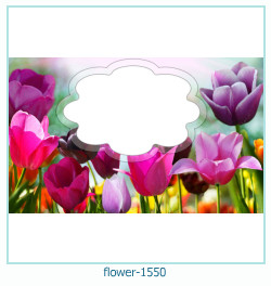 floare rama foto 1550