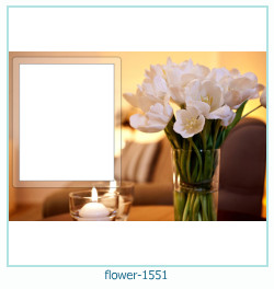 floare rama foto 1551