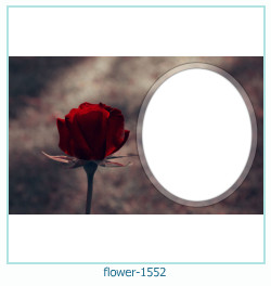 floare rama foto 1552