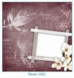 floare rama foto 1562