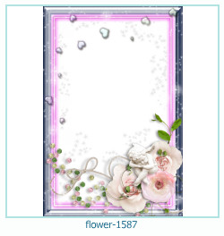 floare rama foto 1587