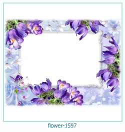 floare rama foto 1597