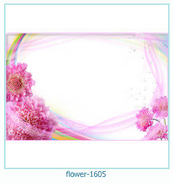 floare rama foto 1605