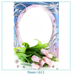 floare rama foto 1613