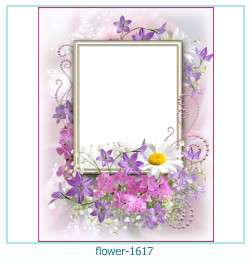 floare rama foto 1617