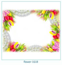 floare rama foto 1618