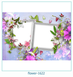 floare rama foto 1622
