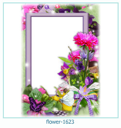 floare rama foto 1623