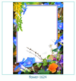 floare rama foto 1624