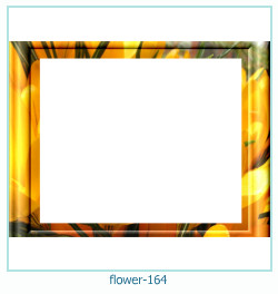 floare rama foto 164