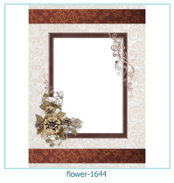floare rama foto 1644