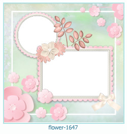 floare rama foto 1647