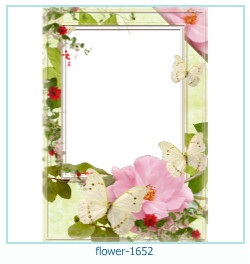 floare rama foto 1652