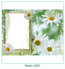 floare rama foto 1653
