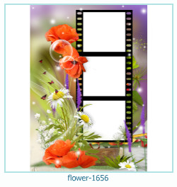 floare rama foto 1656