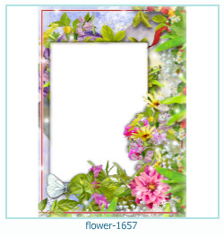 floare rama foto 1657