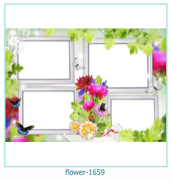 floare rama foto 1659