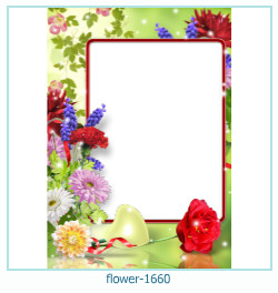 floare rama foto 1660