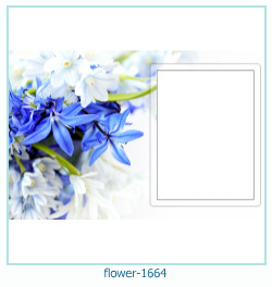 floare rama foto 1664