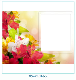 floare rama foto 1666