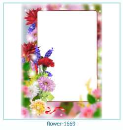 floare rama foto 1669