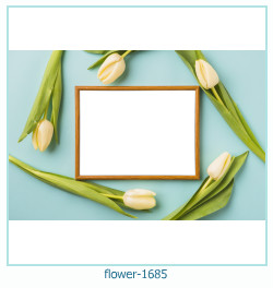 floare rama foto 1685