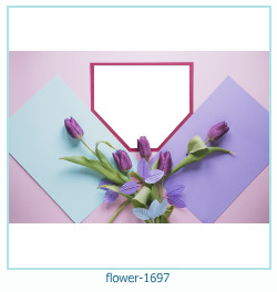 floare rama foto 1697