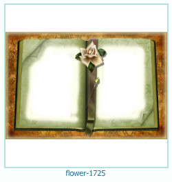 floare rama foto 1725