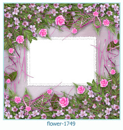 floare rama foto 1749