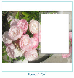 floare rama foto 1757