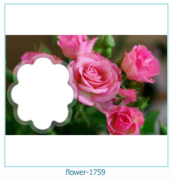 floare rama foto 1759