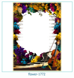 floare rama foto 1772
