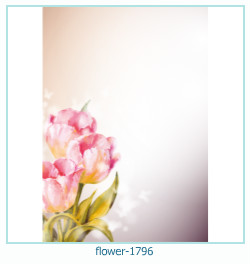 floare rama foto 1796