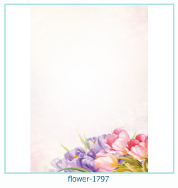 floare rama foto 1797