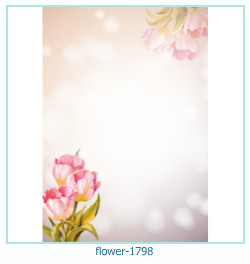 floare rama foto 1798