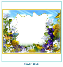 floare rama foto 1808