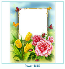 floare rama foto 1815