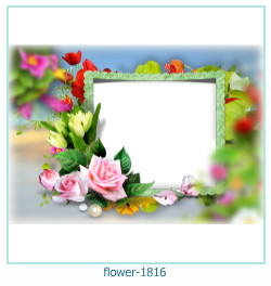 floare rama foto 1816