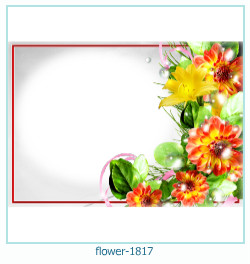 floare rama foto 1817