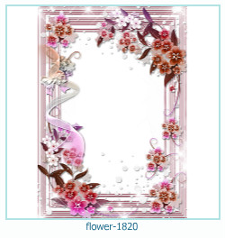 floare rama foto 1820