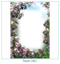 floare rama foto 1821