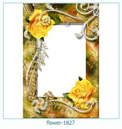 floare rama foto 1827