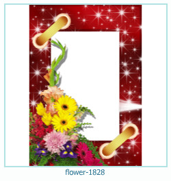 floare rama foto 1828
