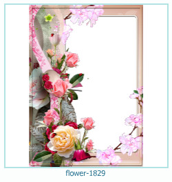 floare rama foto 1829