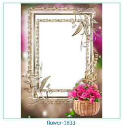 floare rama foto 1833