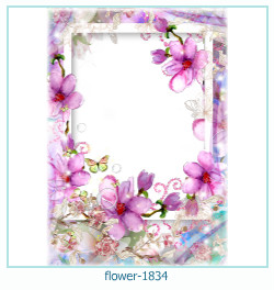 floare rama foto 1834