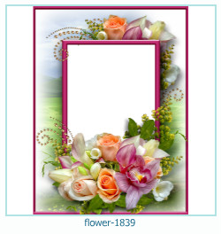floare rama foto 1839