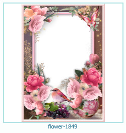 floare rama foto 1849