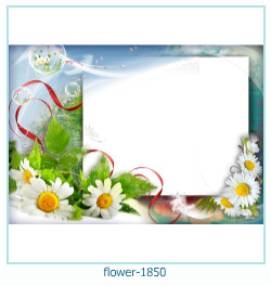 floare rama foto 1850